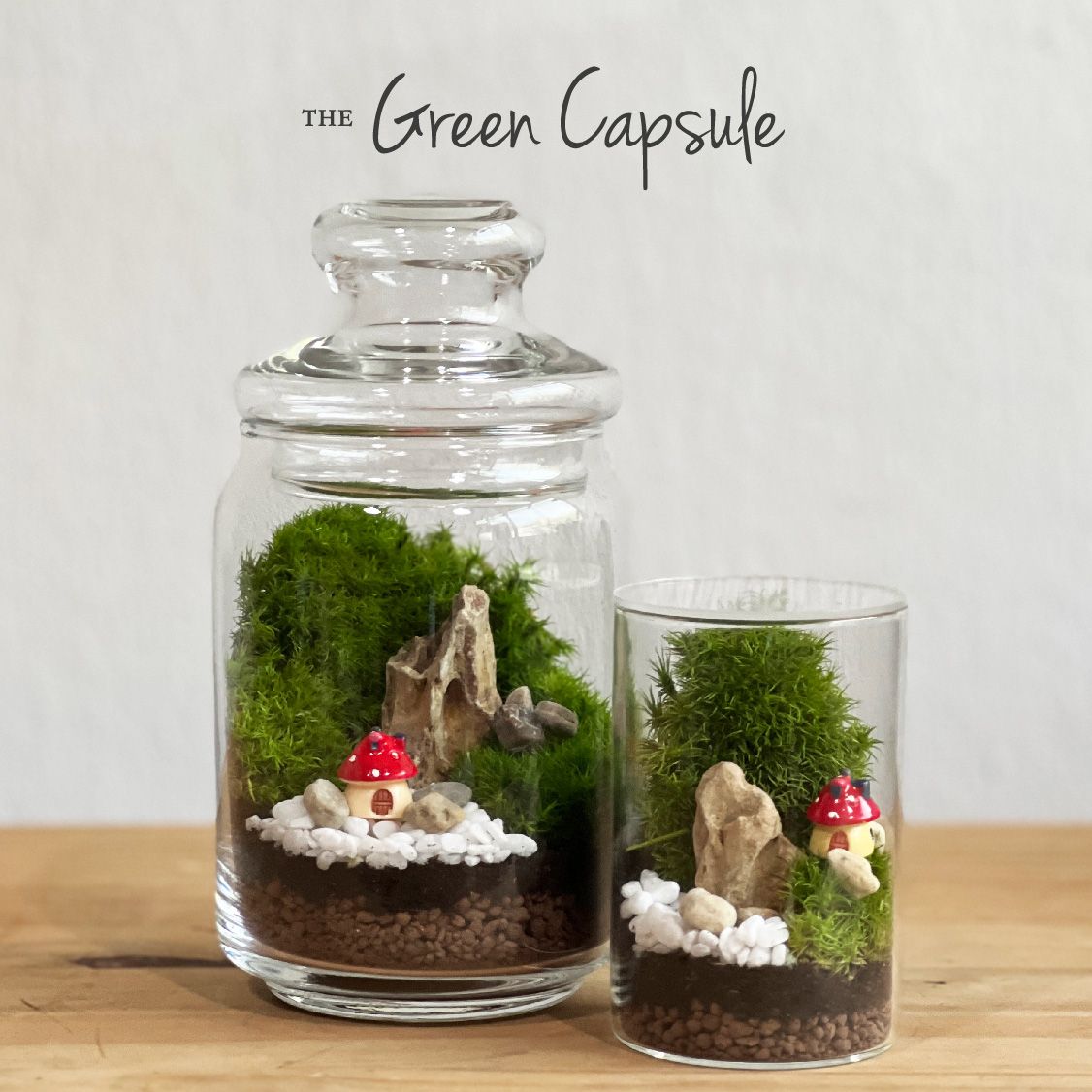 The Green Capsule.jpg